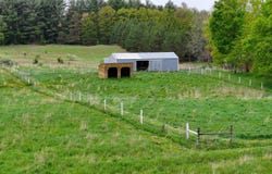 17793 7 Mile Road, Reed City, MI 49677