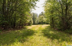 343 County Road 814, Flat Rock, AL 35966