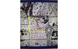 Lot 9 Frying Pan Road, Borrego Springs, CA 92004
