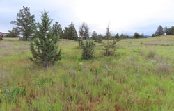 U-5 Lot 36 Desavado, Montague, CA 96064