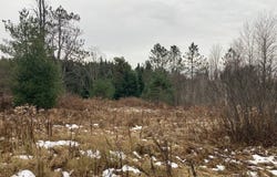 0 St Rt 8, Cold Brook, NY 13324
