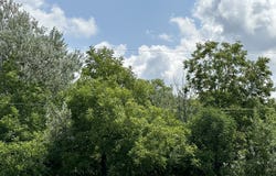 14463 S Bell Road, Homer Glen, IL 60491