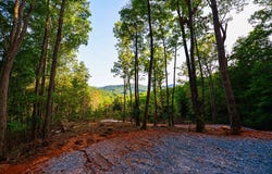 Cottonwood Lane, Blue Ridge, GA 30513