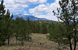 289 Haystack Road, Hartsel, CO 80449