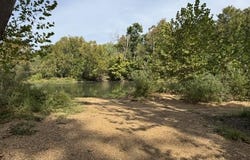 Stubblefield Road, Pocahontas, AR 72455
