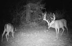 0 Hills and Hollows, Vicksburg, MS 39180