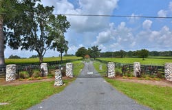 13450 NW GAINESVILLE ROAD, REDDICK, FL 32686