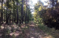 Tbd Goethe Hill Road, Beaufort, SC 29906