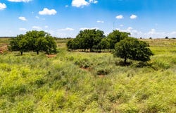 000 N 2260 Rd-80 acers, Frederick, OK 73542