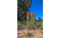 8 Reload, Tijeras, NM 87059