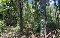 Gary Drive, Byram, MS 39272