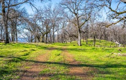 0 Palace Lane, Placerville, CA 95667