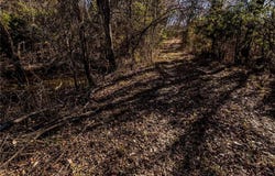 51.39 AC  E Black Oak  RD, Fayetteville, AR 72701