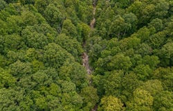 W Bobcat LN_Lot 54, WILDER, TN 38589