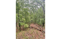 356 Orieole Court, Ranger, GA 30734