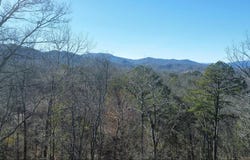 Hornet, Whittier, NC 28789