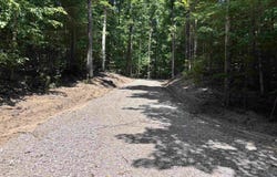 W ELDER ROAD, MANCELONA, MI 49659