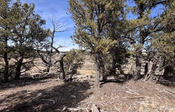Unit 1 Tract 117 El Vado Lake Subd., Tierra Amarilla, NM 87575