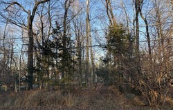 35 Pocono Drive, Gouldsboro, PA 18424