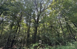 0 Mill Creek Rd, Warrior, AL 35180