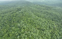 0 Griffin Lane, Millers Creek, NC 28651