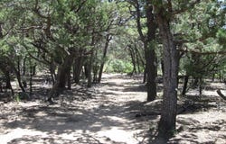 7 BLACKBIRD Road, Tijeras, NM 87059