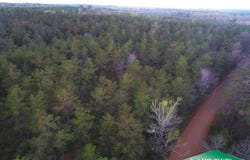 TBD Guyton Loop Road, Eros, LA 71238
