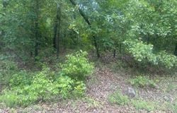 115-10742-000 W San Ildefonso Dr, Cherokee Village, AR 72529