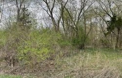 106 Golfview Drive, Brooklyn, MI 49230