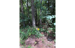 North Palestine Road, Baldwyn, MS 38824