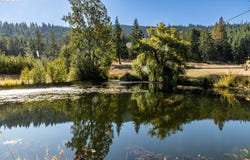 Lot 12 Husum Greens, White Salmon, WA 98672