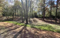 288 Co Rd 1123, Vinemont, AL 35179