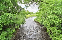 30686 County Road 28, Browerville, MN 56438