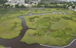 Lot 49 Whichard Beach Road, Chocowinity, NC 27817