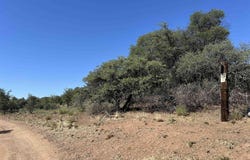 1X Chaparral Trail, NM 88061