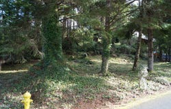 539 Fairway Drive, Gleneden Beach, OR 97388