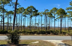 4260 SR 30-A, Port St Joe, FL 32456