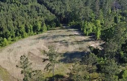 1139 W CR 19, ARITON, AL 36311