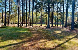 11 Croatan Road lot: E-11, Hertford, NC 27944