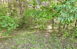 00 Eden Road, Stoneville, NC 27058