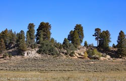 Tbd Divide Road, Whitewater, CO 81527