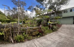 11-3119 ALII ANELA ST, Volcano, HI 96785