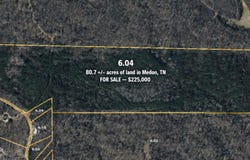 DACUS Rd, Medon, TN 38356