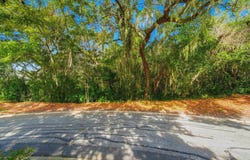 Spanish Oaks Ln, St Augustine, FL 32080