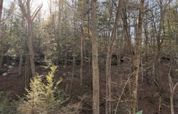 7041 KY Route 1092, Flat Gap, KY 41219