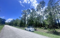 107 GEORGETOWN POINT RD, Georgetown, FL 32139