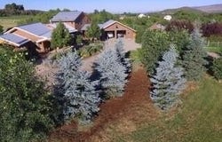 Paonia, CO 81428
