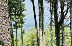 2.07 acres, 2058 Thoroughbred Way unit: G16, Lenoir, NC 28645