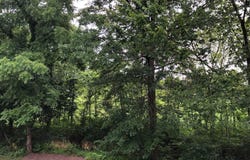 20150 VALHALLA Square, ASHBURN, VA 20147