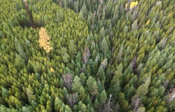 TBD SCHLEGEL RANCH LOT 11 RD, IONE, WA 99139